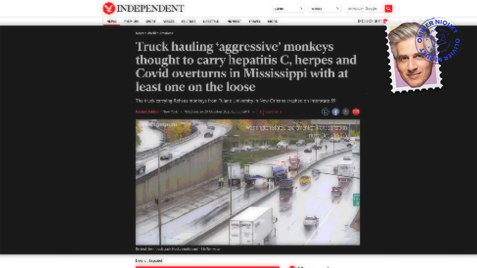 Des singes infectés par l’herpès et l’hépatite C en liberté Post feature image