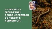 Le ver qui a (peut-être) grugé le cerveau de Robert F. Kennedy Jr.